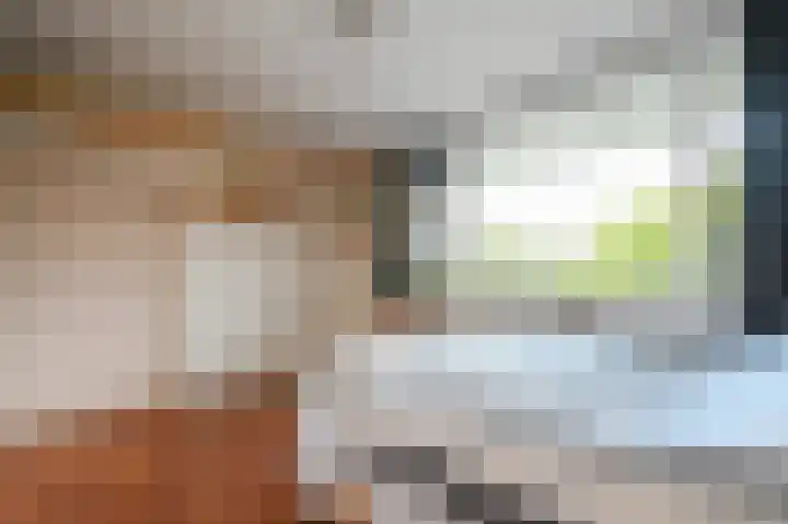 Hammarskjöldlaan 91 Rijswijk thumbnail 18