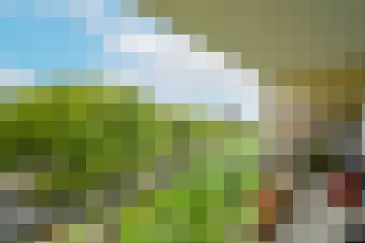 Hammarskjöldlaan 91 Rijswijk thumbnail 4