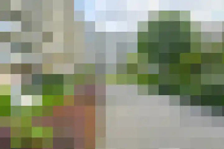 Hammarskjöldlaan 91 Rijswijk thumbnail 5