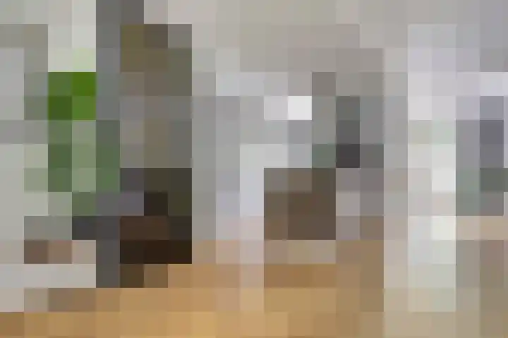 Hammarskjöldstede 13 Goes thumbnail 16