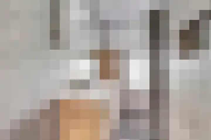 Hammarskjöldstede 13 Goes thumbnail 20