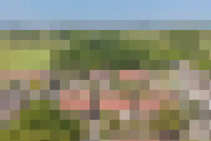 Hammarskjöldstede 13 Goes thumbnail 30