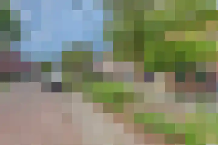 Hammarskjöldstede 13 Goes thumbnail 4