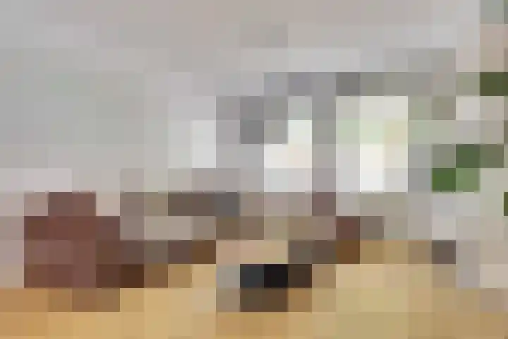Hammarskjöldstede 13 Goes thumbnail 8