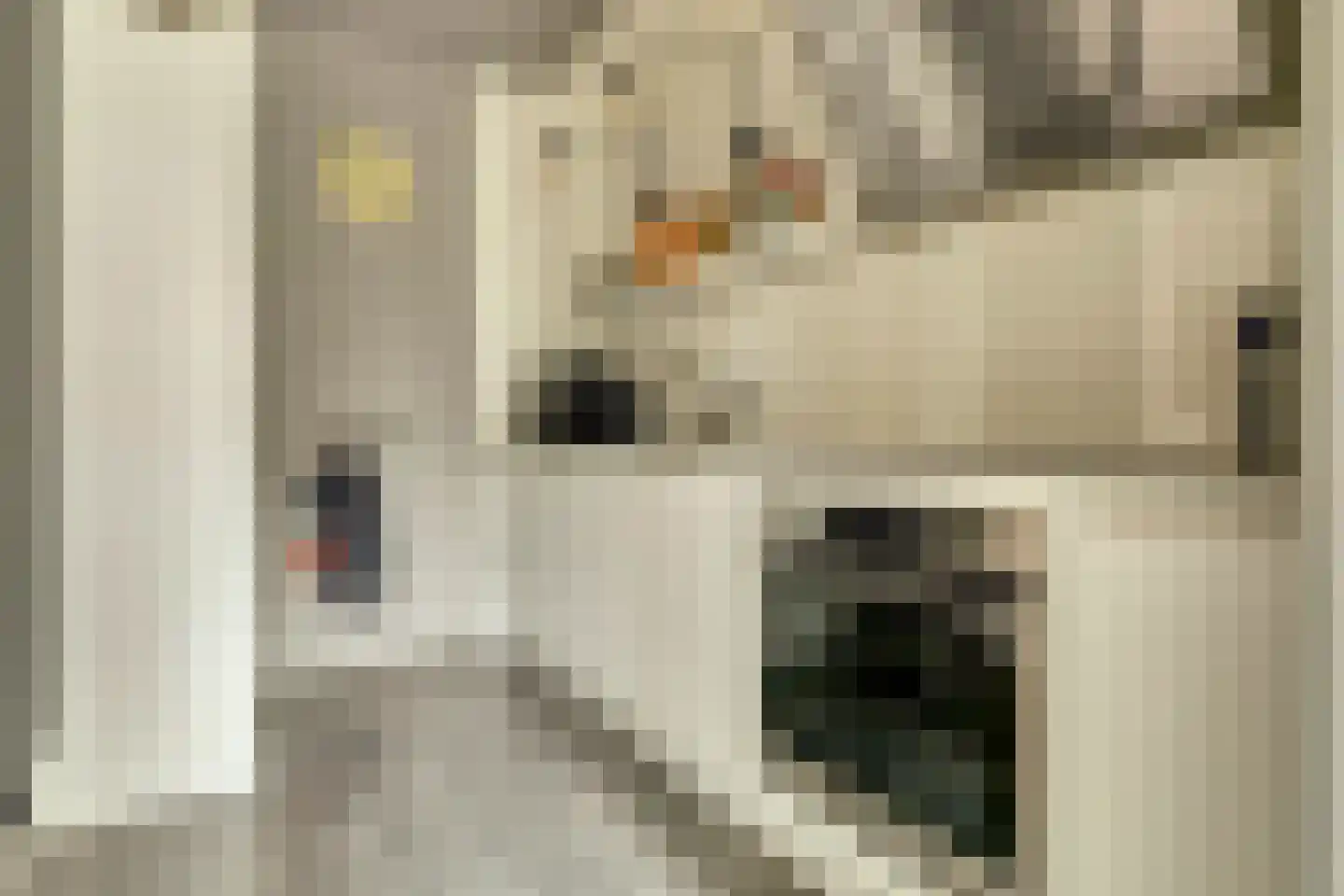 Hammarskjöldstede 40 Goes thumbnail 8