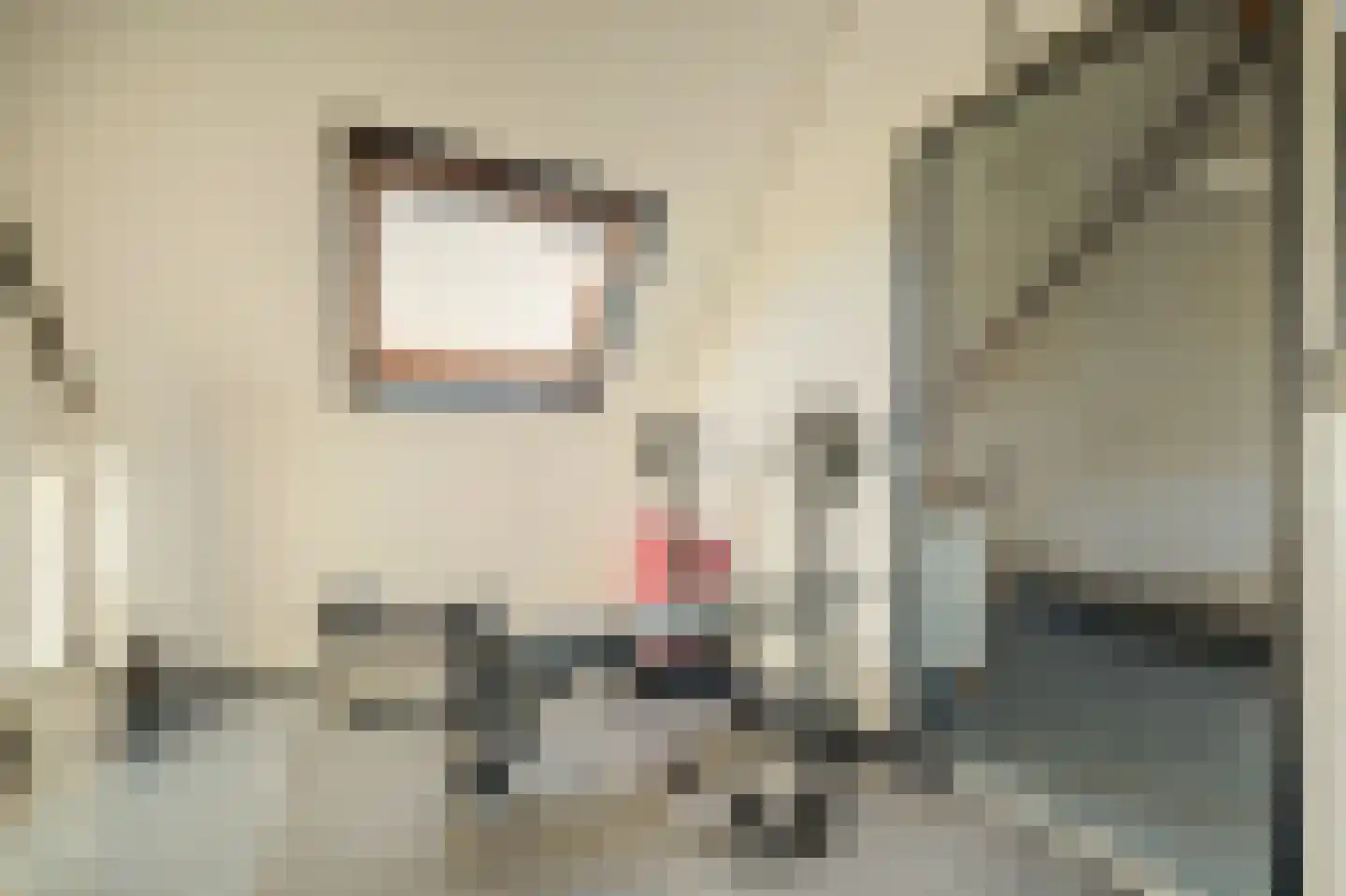 Hammarskjöldstede 42 Goes thumbnail 26