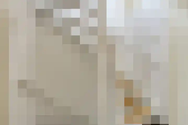 Hammarskjöldstede 52 Goes thumbnail 13