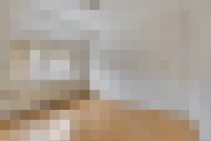 Hammarskjöldstede 52 Goes thumbnail 16