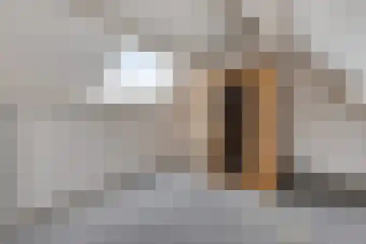Hammarskjöldstede 52 Goes thumbnail 19