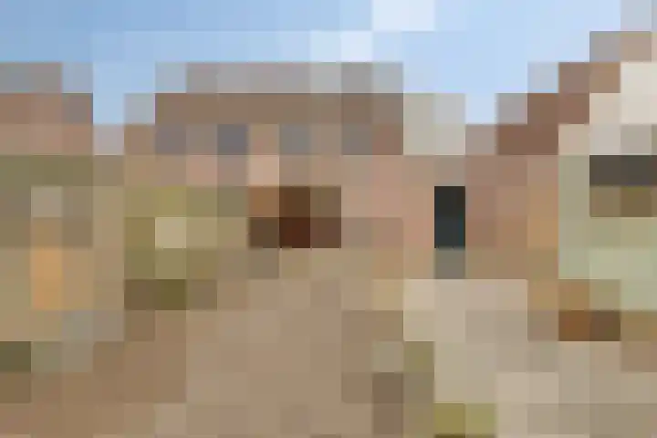 Hammarskjöldstede 52 Goes thumbnail 21