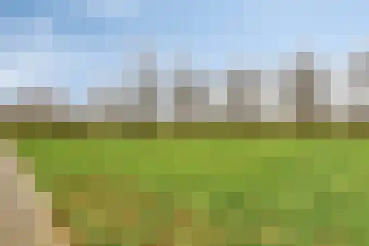 Hammarskjöldstede 52 Goes thumbnail 24