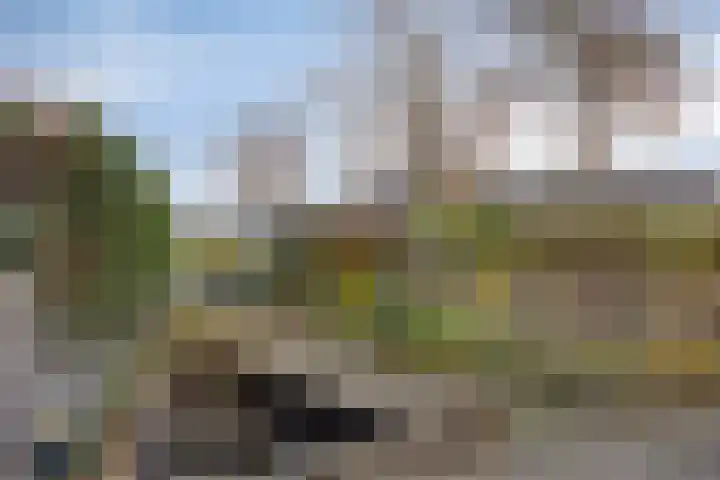 Hammarskjöldstraat 105 Hoofddorp thumbnail 17