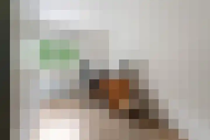 Hammarskjöldstraat 25 Hoofddorp thumbnail 20