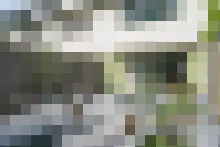 Hammarskjöldstraat 25 Hoofddorp thumbnail 35