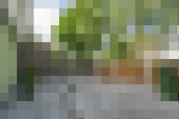 Hammarskjöldstraat 25 Hoofddorp thumbnail 41