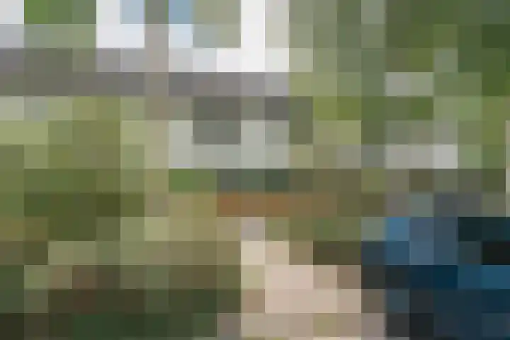 Hammarskjöldstraat 25 Hoofddorp thumbnail 42