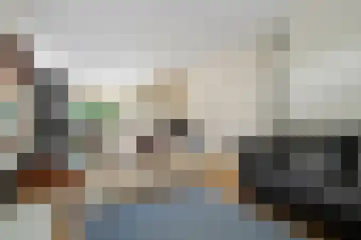 Hammarskjöldstraat 25 Hoofddorp thumbnail 5