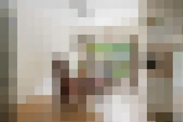 Hammarskjöldstraat 25 Hoofddorp thumbnail 6