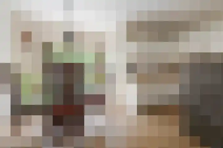 Hammarskjöldstraat 25 Hoofddorp thumbnail 7