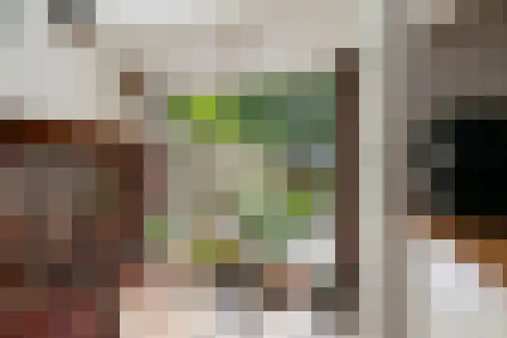 Hammarskjöldstraat 25 Hoofddorp thumbnail 8