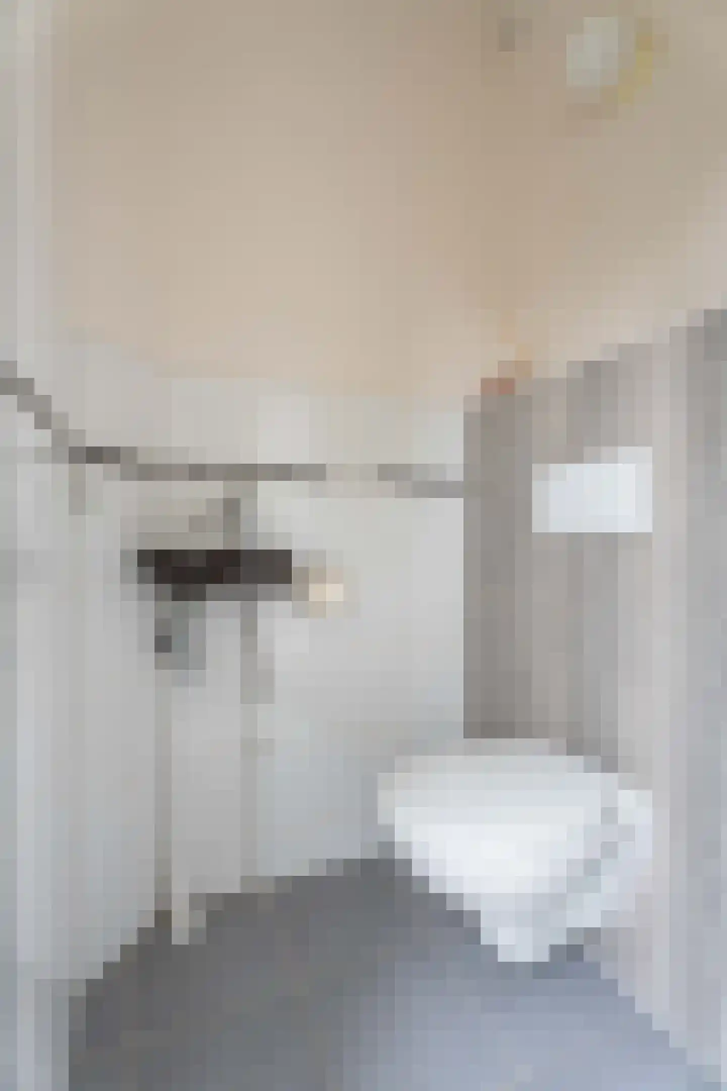 Hammarskjöldstraat 61 Hoofddorp thumbnail 13