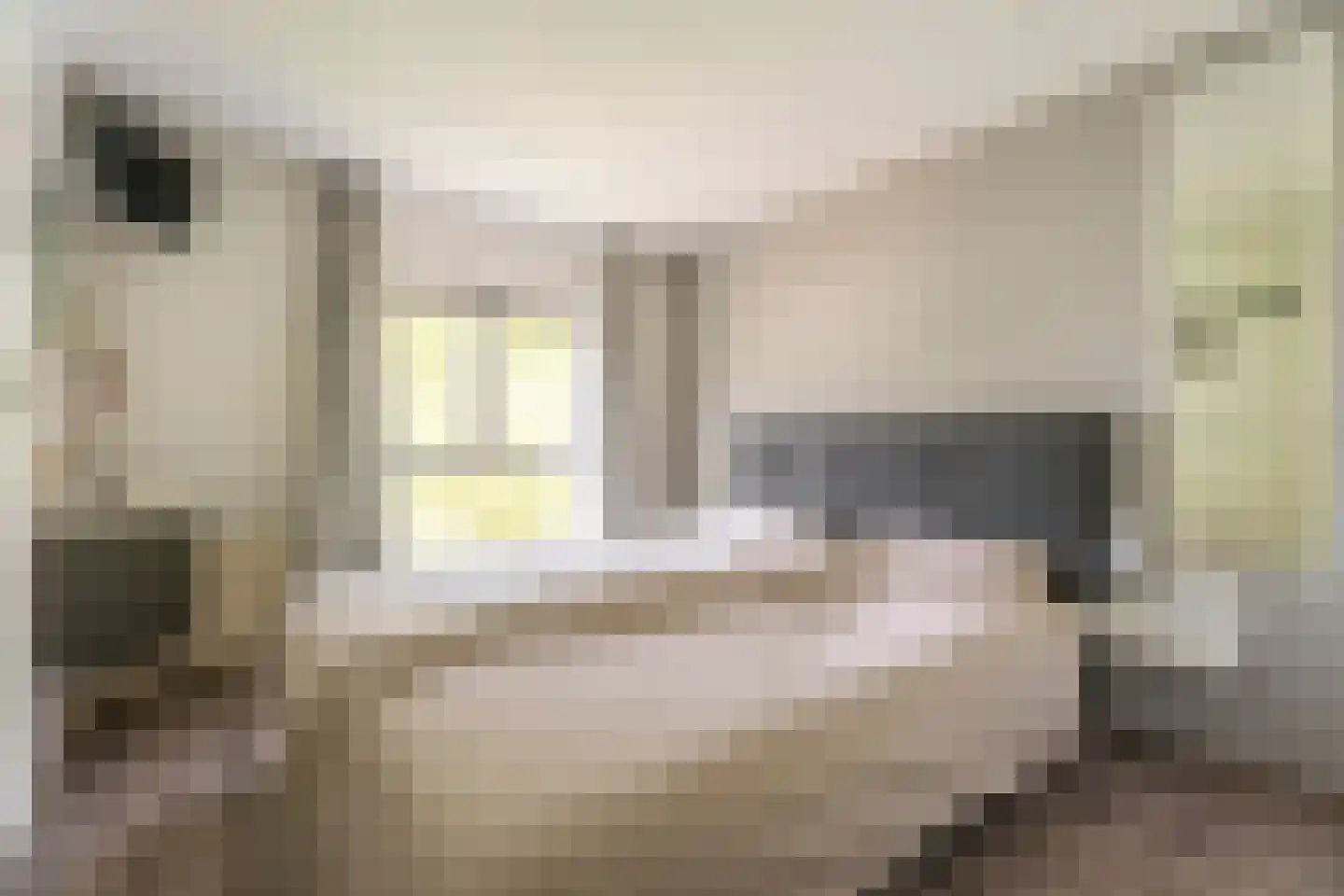 Hammarskjöldstraat 61 Hoofddorp thumbnail 15