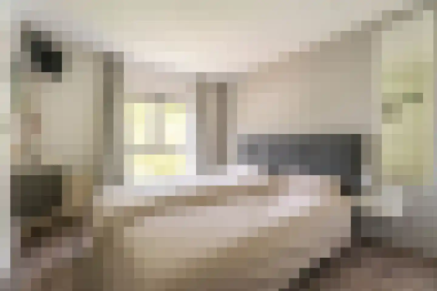 Hammarskjöldstraat 61 Hoofddorp thumbnail 15