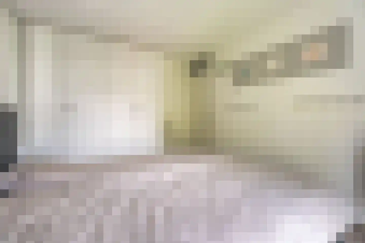Hammarskjöldstraat 61 Hoofddorp thumbnail 16