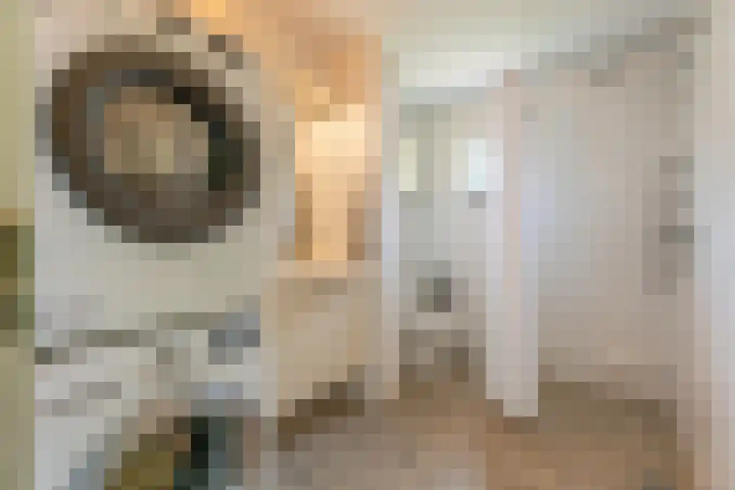 Hammarskjöldstraat 61 Hoofddorp thumbnail 21