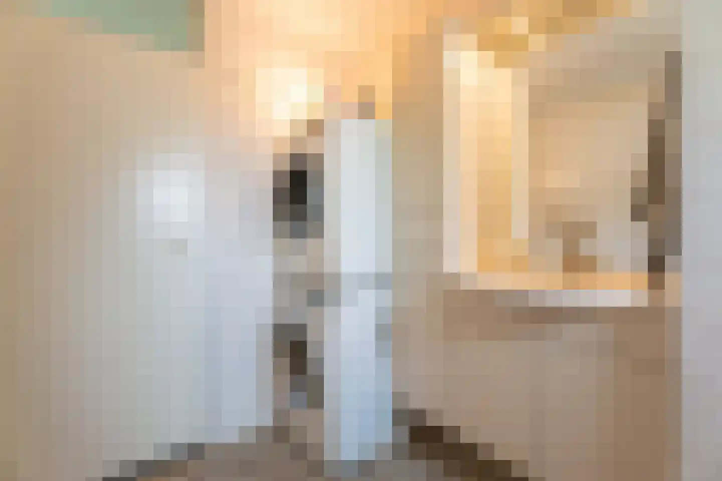 Hammarskjöldstraat 61 Hoofddorp thumbnail 22