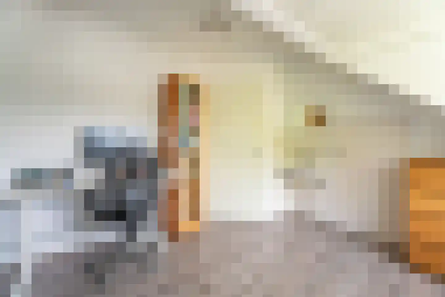Hammarskjöldstraat 61 Hoofddorp thumbnail 24