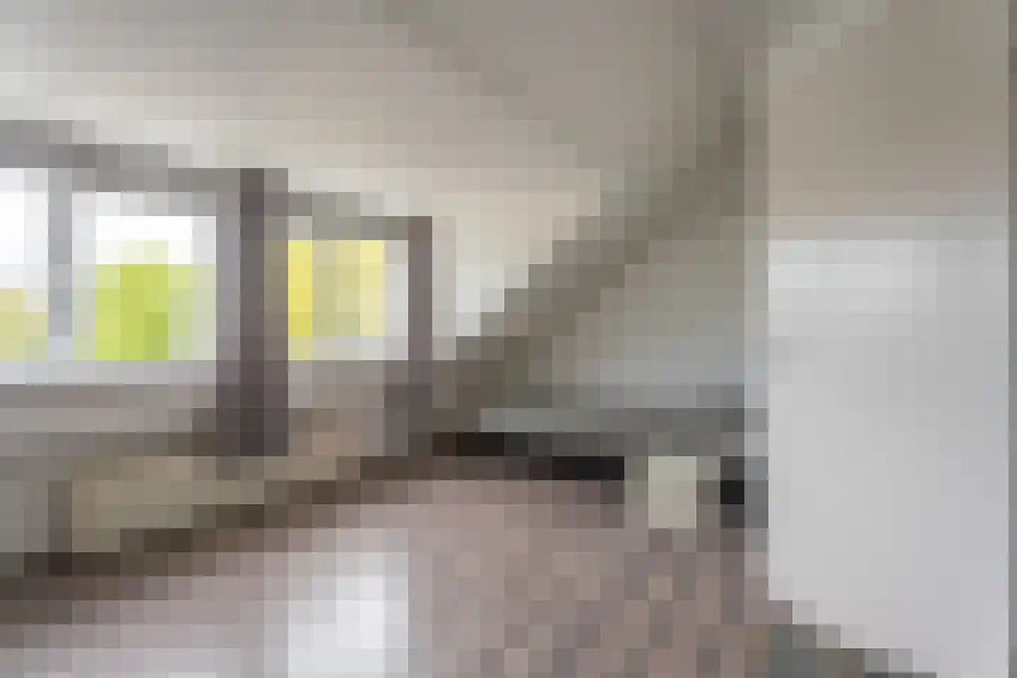 Hammarskjöldstraat 61 Hoofddorp thumbnail 26