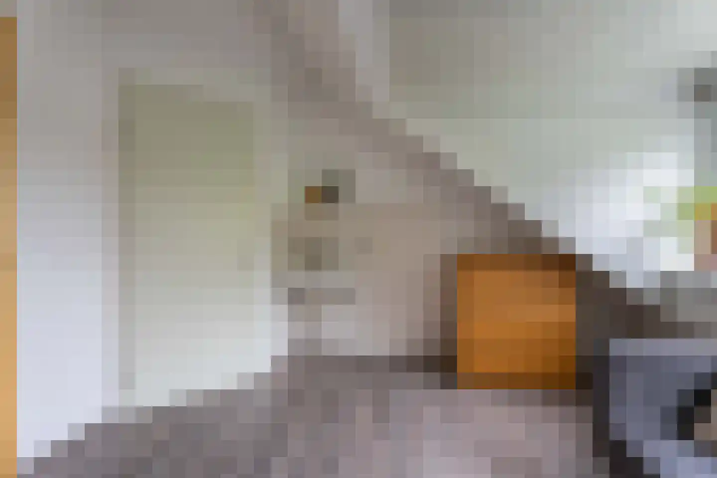 Hammarskjöldstraat 61 Hoofddorp thumbnail 29