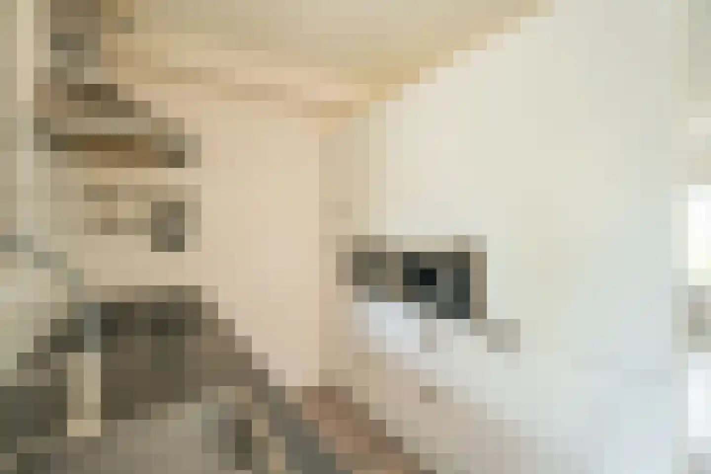 Hammarskjöldstraat 61 Hoofddorp thumbnail 9