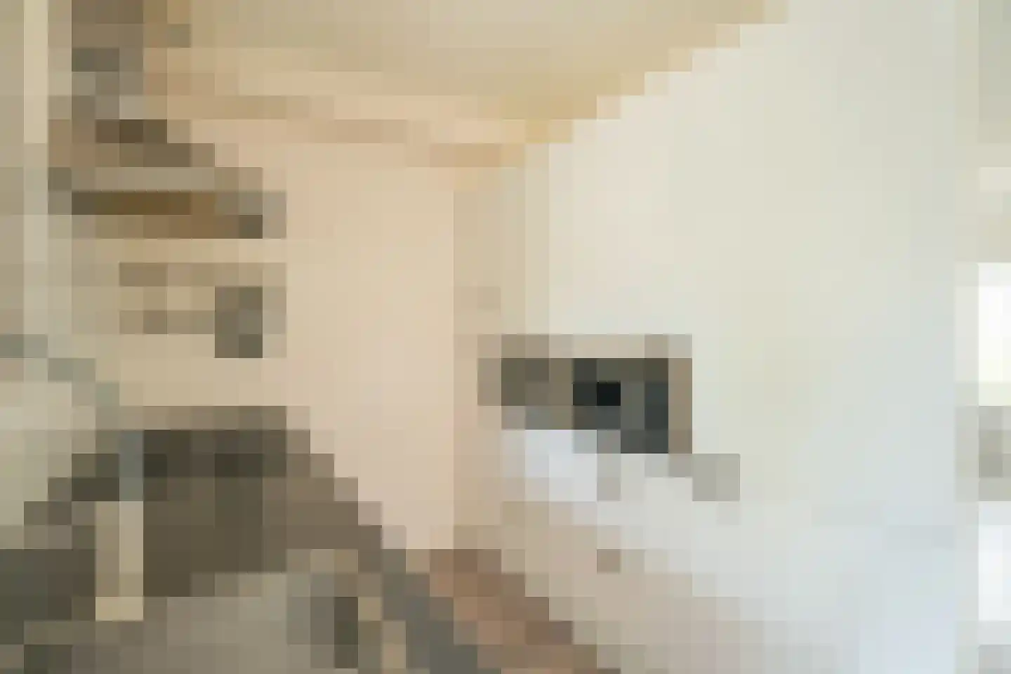 Hammarskjöldstraat 61 Hoofddorp thumbnail 9