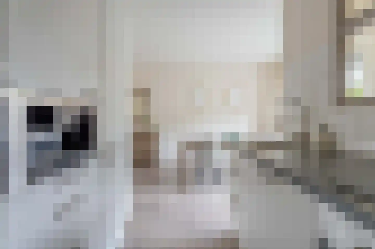 Hammarskjöldstraat 61 Hoofddorp thumbnail 9