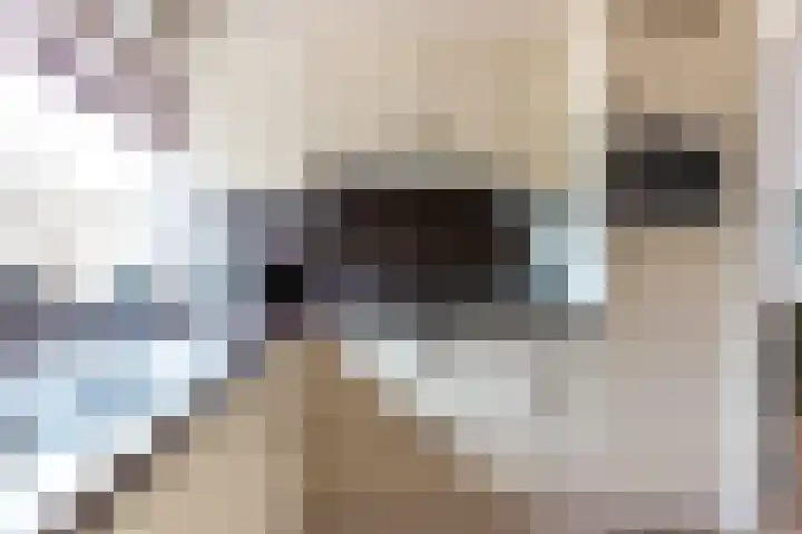 Hammarskjöldstraat 97 Hoofddorp thumbnail 15