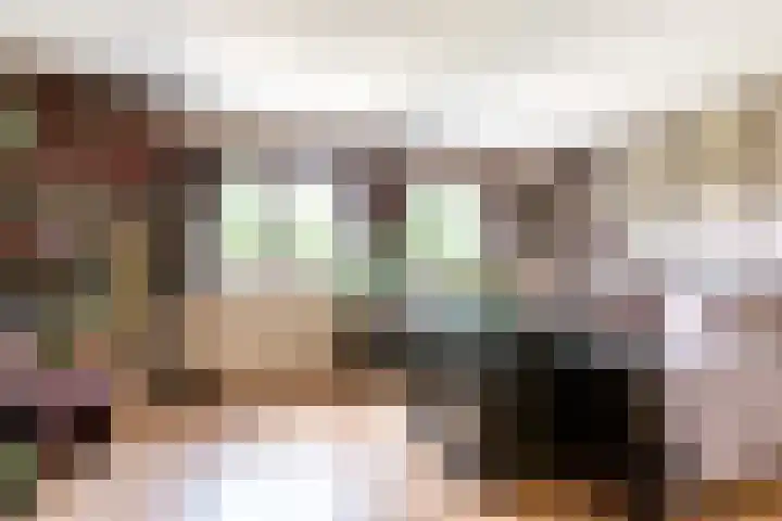 Hammarskjöldstraat 97 Hoofddorp thumbnail 19