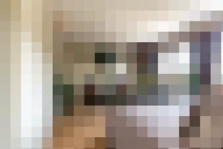 Hammarskjöldstraat 97 Hoofddorp thumbnail 20