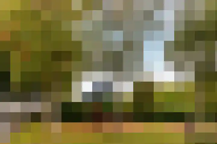 Hammarskjöldstraat 97 Hoofddorp thumbnail 31