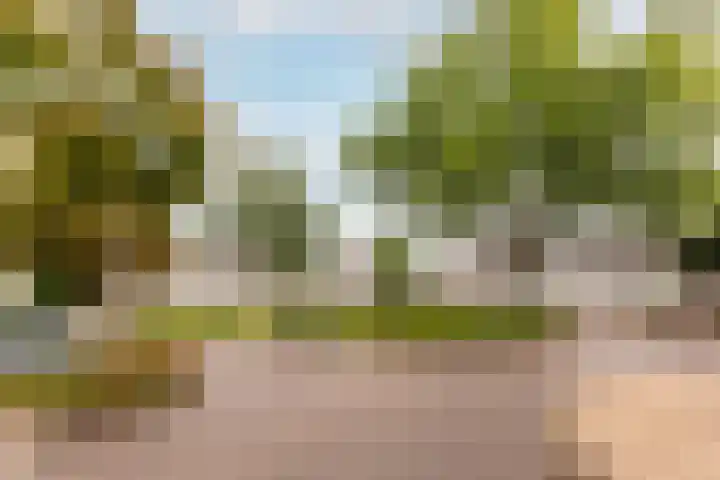 Hammarskjöldstraat 97 Hoofddorp thumbnail 34