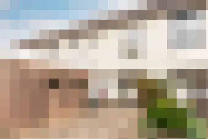 Hammarskjöldstraat 97 Hoofddorp thumbnail 7