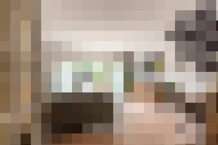 Hammarskjöldstraat 97 Hoofddorp thumbnail 9