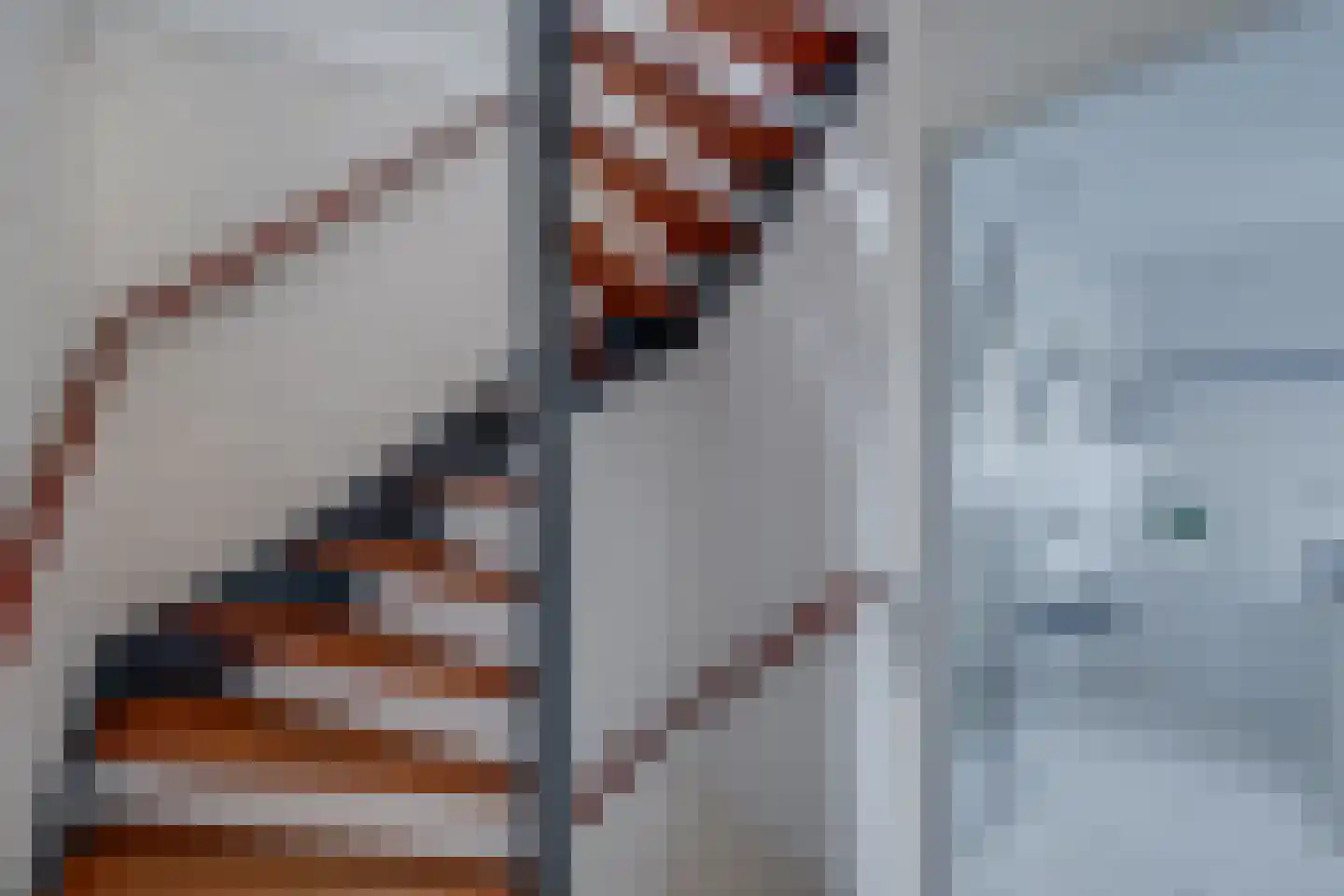 Hammarskjöldweg 15 Lochem thumbnail 18