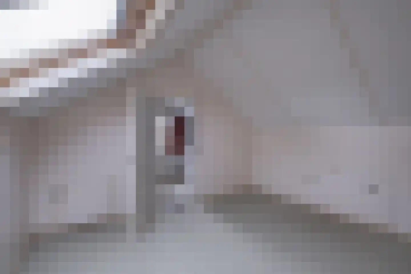 Hammarskjöldweg 15 Lochem thumbnail 20
