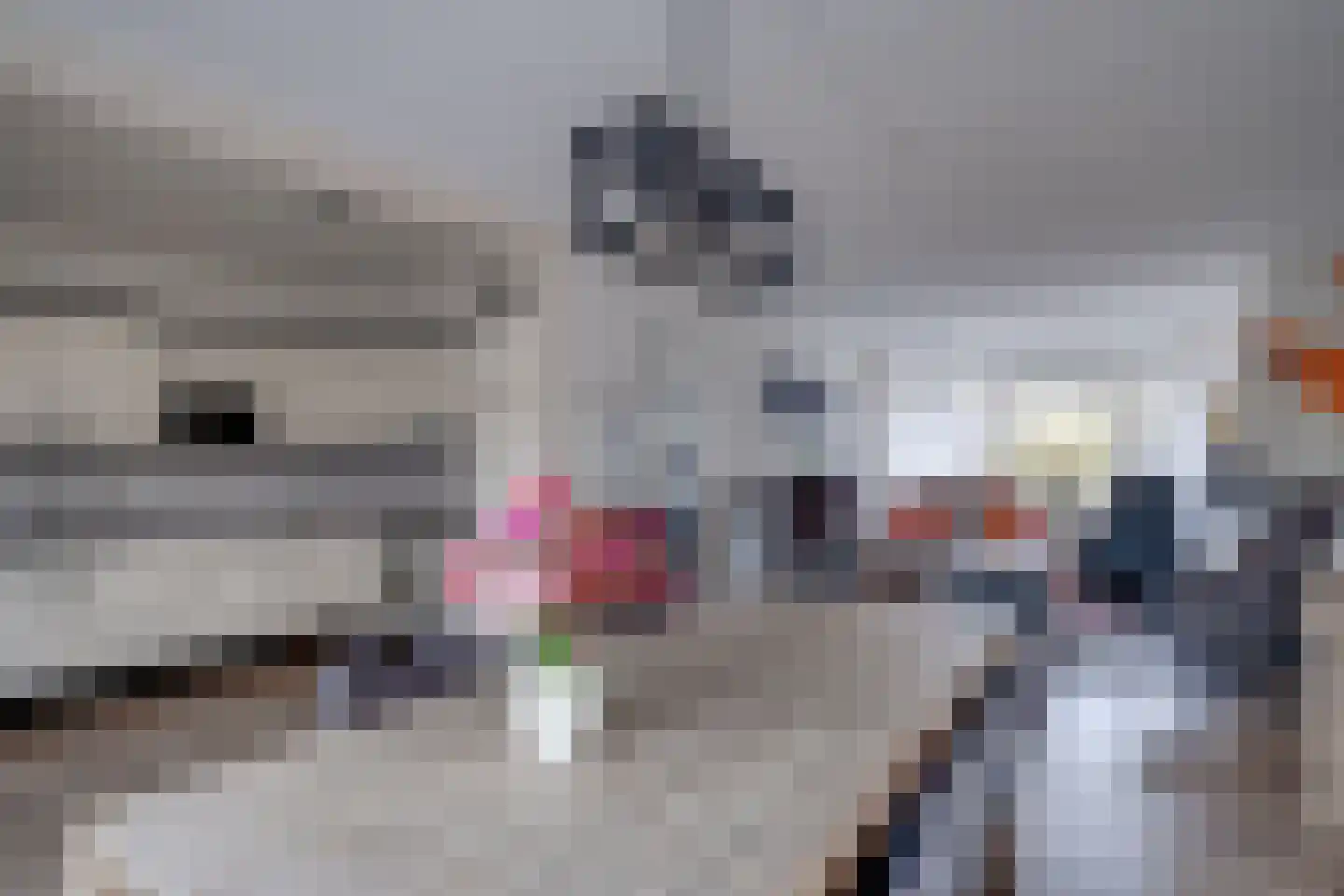 Hammarskjöldweg 15 Lochem thumbnail 6