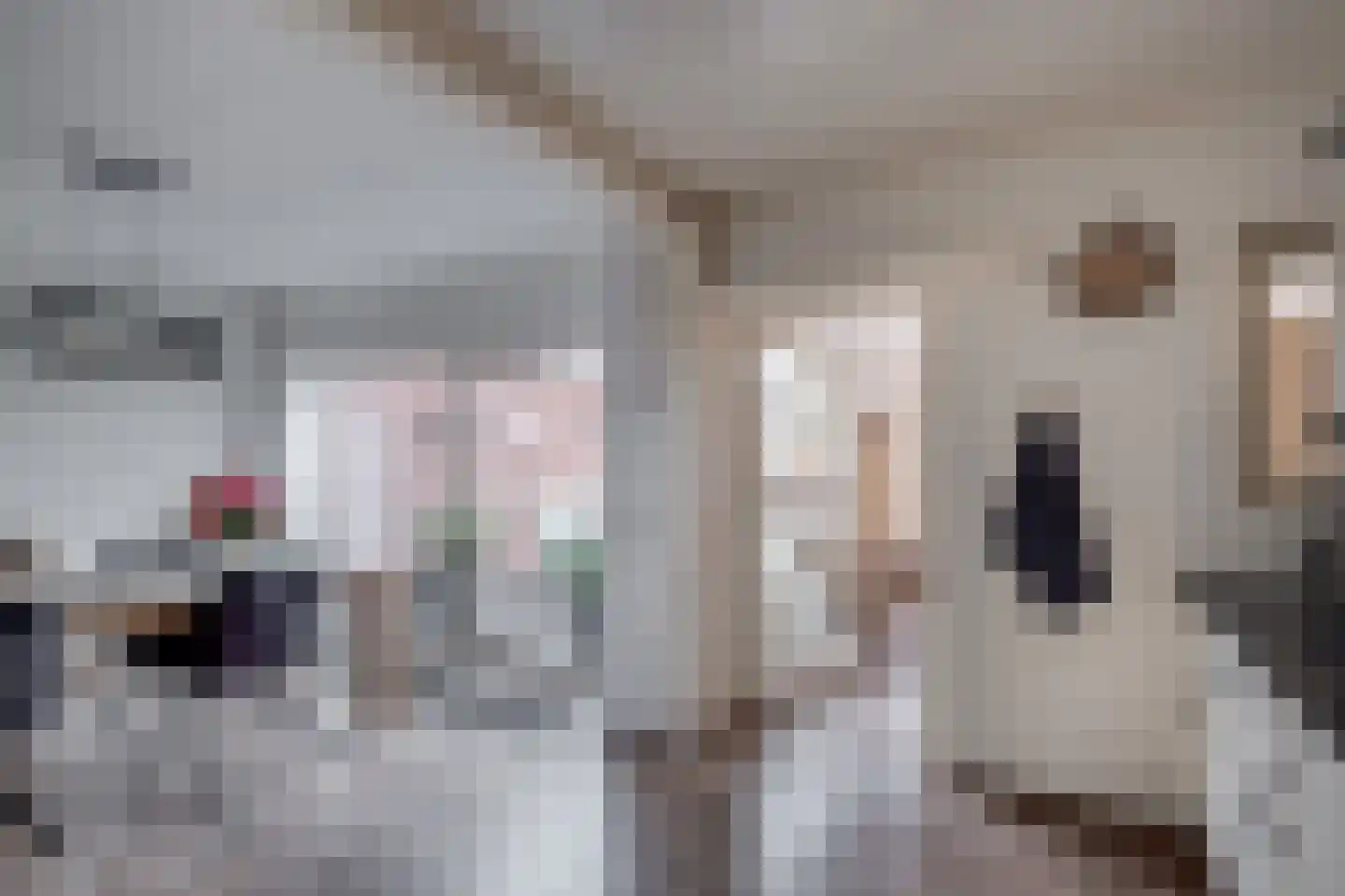 Hammarskjöldweg 15 Lochem thumbnail 8
