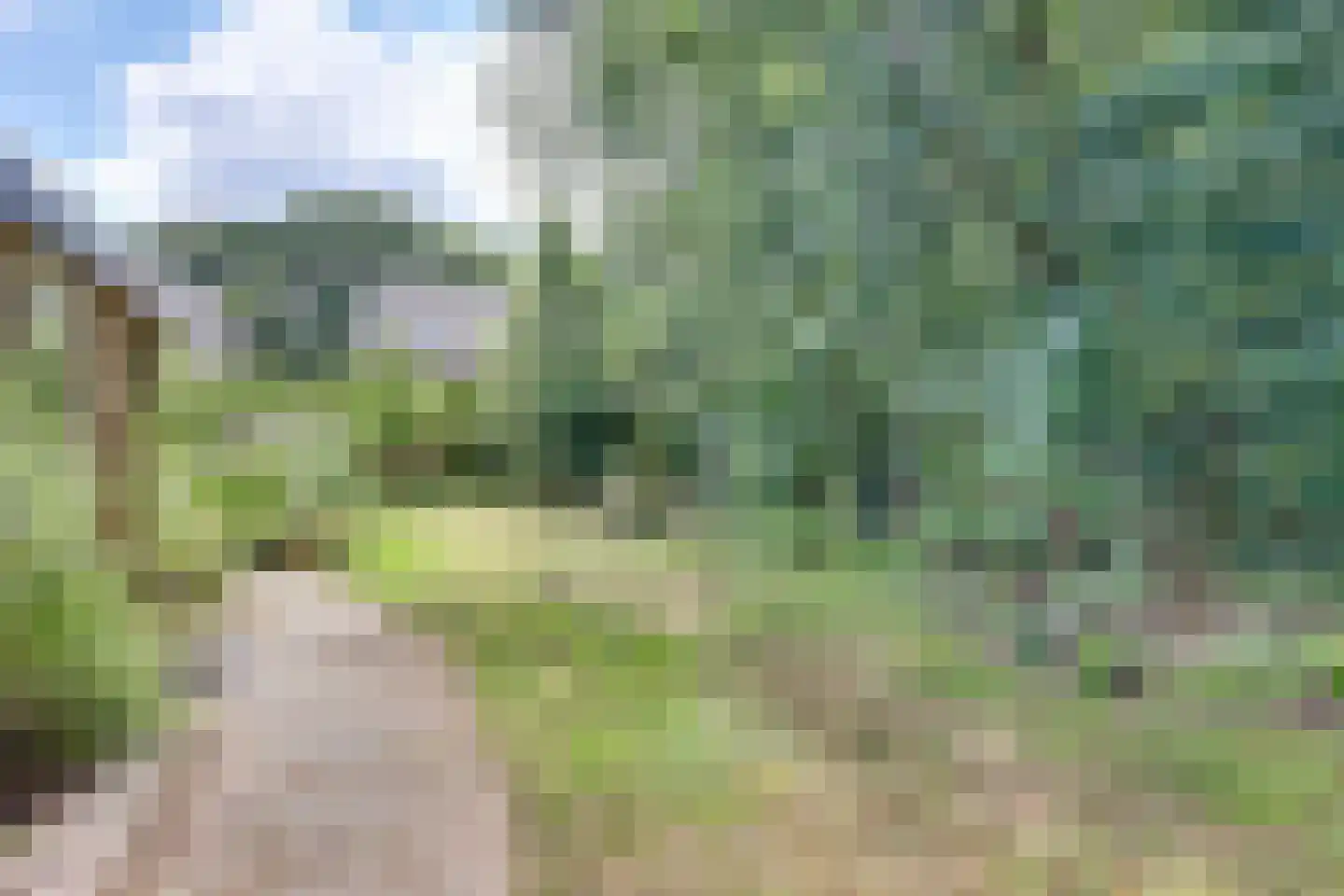 Hammarskjöldweg 41 Lochem thumbnail 32