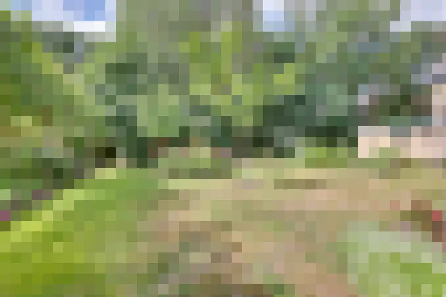 Hammarskjöldweg 41 Lochem thumbnail 35