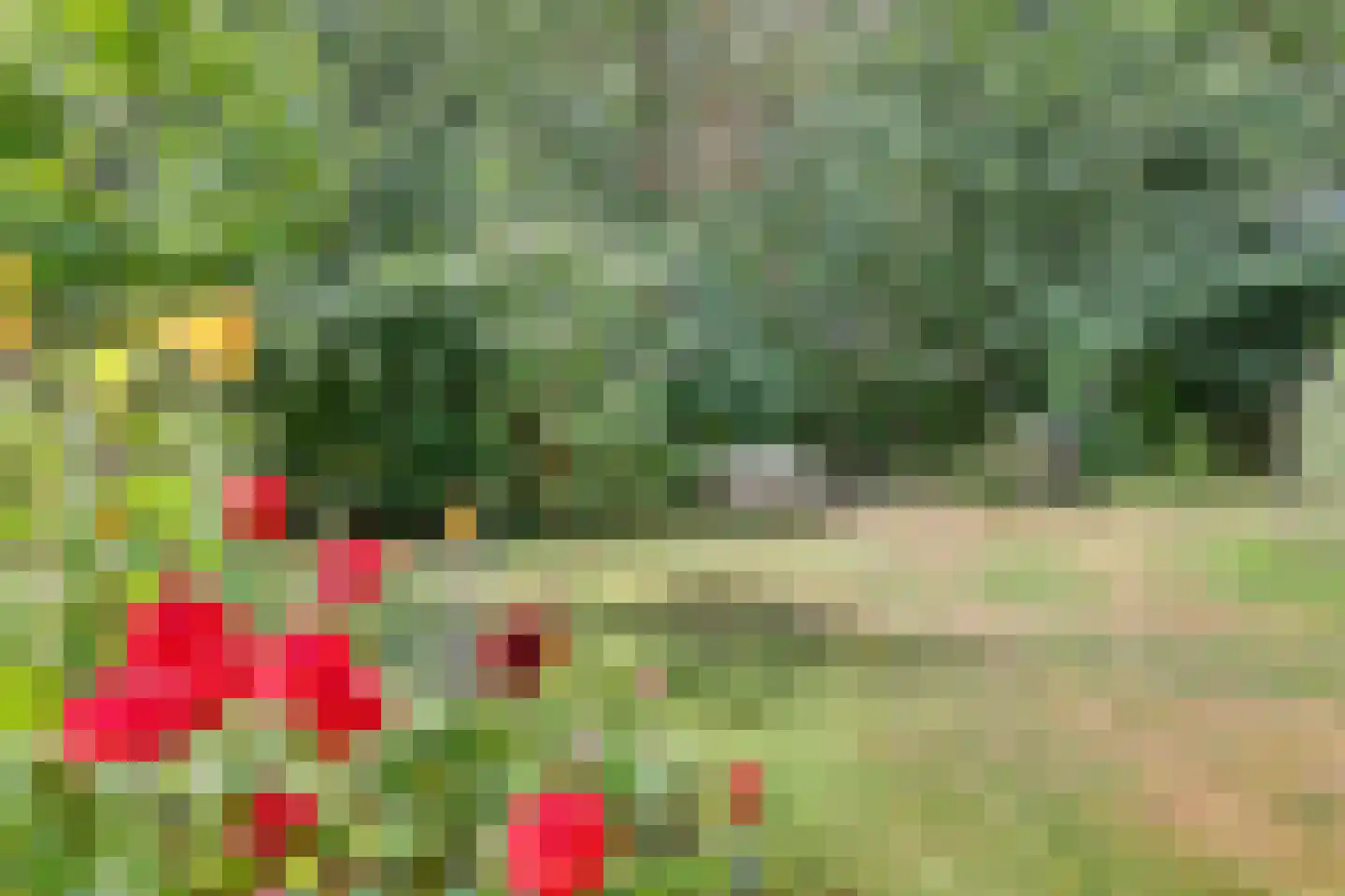 Hammarskjöldweg 41 Lochem thumbnail 36